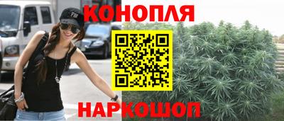 тгк Долгопрудный