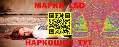 тгк Долгопрудный